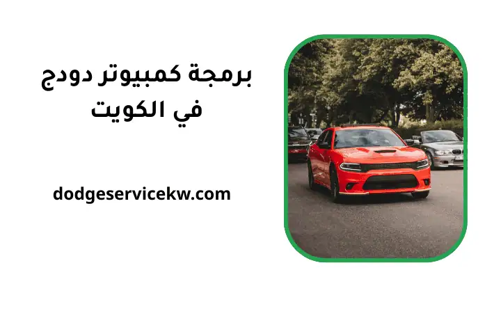 شركة برمجة كمبيوتر دودج