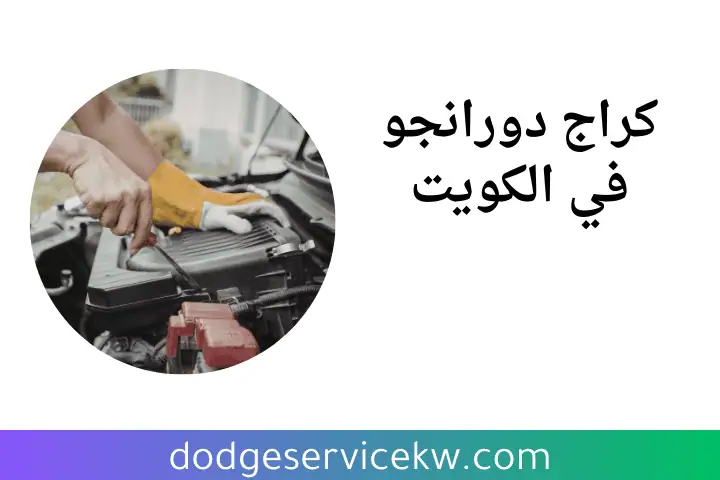 خدمة كراج دورانجو