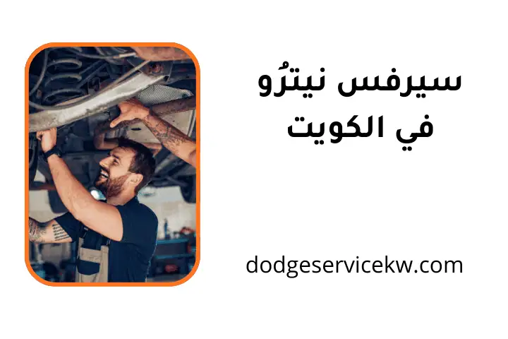 فني سيرفس نيترو