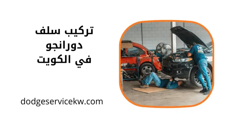 فني تركيب سلف دورانجو